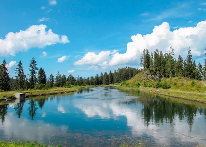 Martina By Interhome Апартаменты Gattererberg