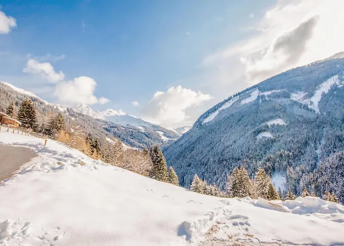 Martina By Interhome * Gattererberg